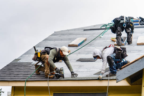 Professional Roofing technician working in Christine, ND